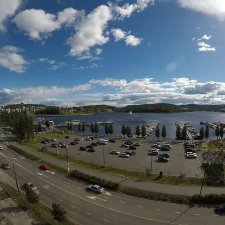 Juhannusruusu Rosa Spinisissima - Best Lake View Apartment Jyvaskyla