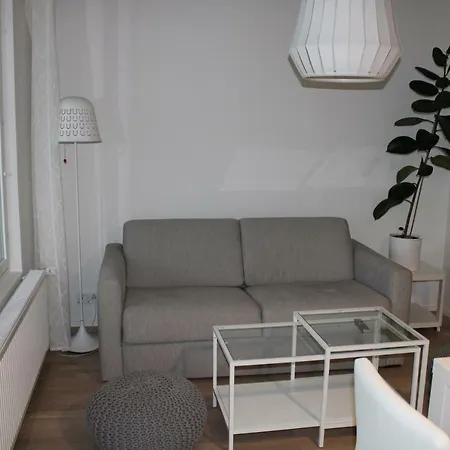 Juhannusruusu Rosa Spinisissima - View 아파트 Jyväskylä
